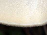 foto Karel Tejkal