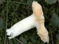 foto Karel Tejkal