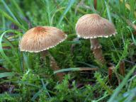 foto Karel Tejkal foto Karel Tejkal