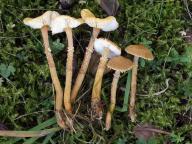 foto Karel Tejkal foto Karel Tejkal