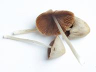 foto Karel Tejkal