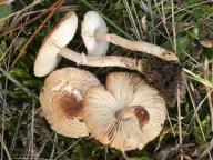 foto Karel Tejkal foto Karel Tejkal