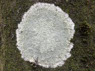foto Karel Tejkal