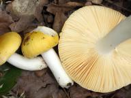 foto Karel Tejkal foto Karel Tejkal