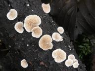 foto Karel Tejkal foto Karel Tejkal