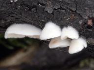 foto Karel Tejkal foto Karel Tejkal