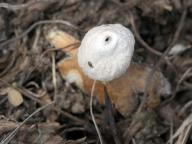 foto Karel Tejkal foto Karel Tejkal