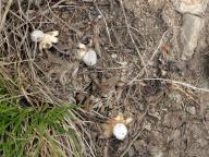 foto Karel Tejkal foto Karel Tejkal