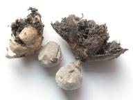 foto Karel Tejkal foto Karel Tejkal