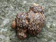 foto Karel Tejkal