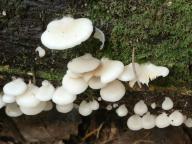 foto Karel Tejkal foto Karel Tejkal