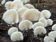 foto Karel Tejkal foto Karel Tejkal