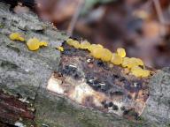 foto Karel Tejkal