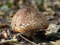 foto Karel Tejkal foto Karel Tejkal