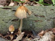 foto Karel Tejkal
