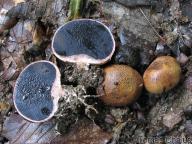 severní plzeňsko 22.8.2010 severní plzeňsko 22.8.2010