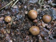 severní plzeňsko 22.8.2010 severní plzeňsko 22.8.2010