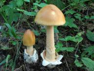 foto Tomáš Chaluš
