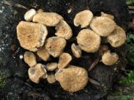 foto Tomáš Chaluš foto Tomáš Chaluš