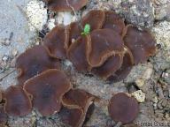 foto Tomáš Chaluš foto Tomáš Chaluš