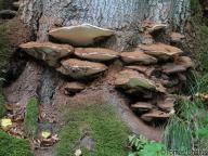 jižní čechy jižní čechy