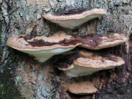 jižní čechy jižní čechy