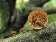 Táborsko 2012 Táborsko 2012