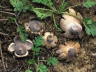 jižní Slovensko 2012 jižní Slovensko 2012