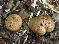 jižní Čechy 2012 jižní Čechy 2012