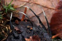 jižní Čechy 2013 jižní Čechy 2013