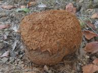 foto Oldřich Jindřich foto Oldřich Jindřich