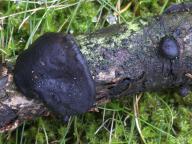 foto Oldřich Jindřich