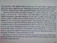 Česká mykologie 2007: 59(1)