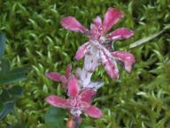 foto Oldřich Jindřich foto Oldřich Jindřich