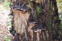 foto Oldřich Jindřich foto Oldřich Jindřich