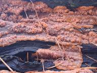 foto Oldřich Jindřich