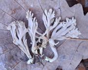 foto Oldřich Jindřich