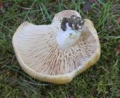 foto Oldřich Jindřich foto Oldřich Jindřich