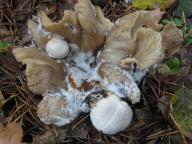 foto Lubomír Opat foto Lubomír Opat