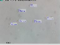 Inocybe fraudans