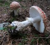 foto Markéta Vlčková foto Markéta Vlčková