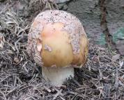 foto Markéta Vlčková