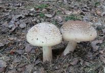 foto Markéta Vlčková