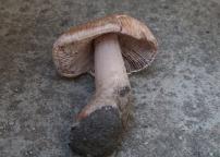 foto Markéta Vlčková