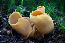 foto Martin Slavičínský