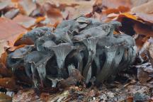 foto Martin Slavičínský foto Martin Slavičínský