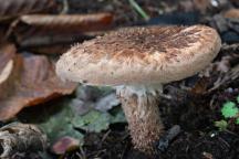 foto Vladimír Sojka foto Vladimír Sojka