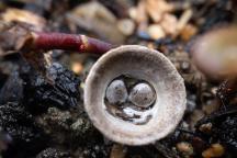 foto Vladimír Sojka foto Vladimír Sojka