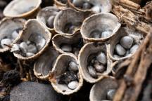 foto Vladimír Sojka foto Vladimír Sojka