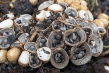 foto Vladimír Sojka foto Vladimír Sojka